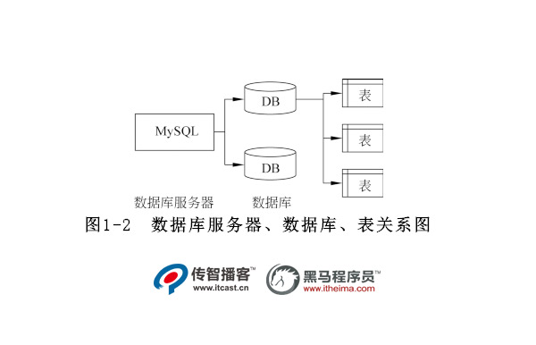 數(shù)據(jù)庫結(jié)構(gòu)