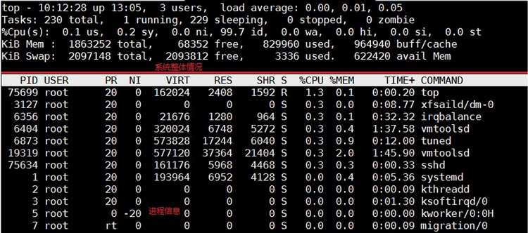 進程檢測與控制2.1.0