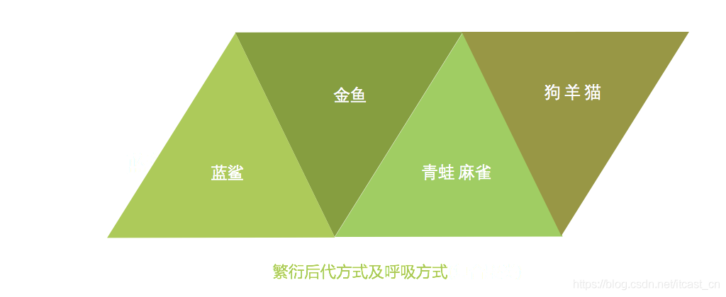 機(jī)器學(xué)習(xí)中入門級(jí)必學(xué)的算法