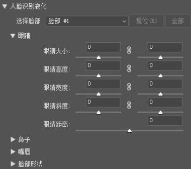 人臉識別液化